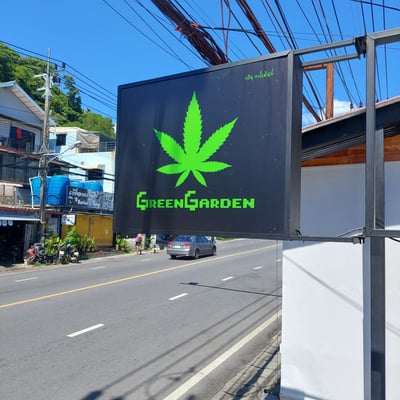 Green Garden Kata | Cannabis Dispensary Weed Shop product image