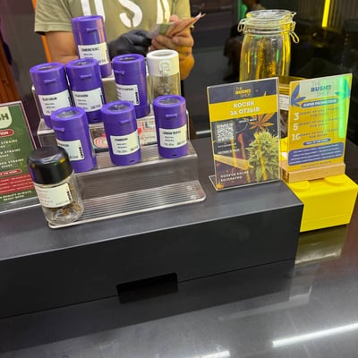 Cannabis shop | lounge | The Bush shop - Магазин марихуаны, лаундж product image