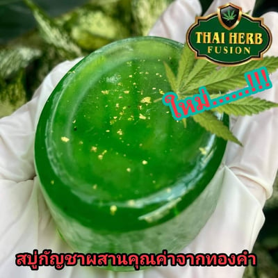 องครักษ์พรีเมียร์ product image