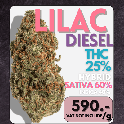 Lilac Diesel