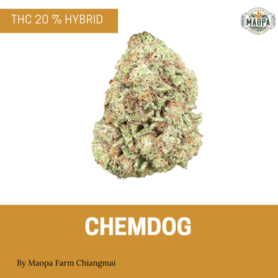 CHEMDOG