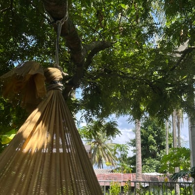 Meat Cannabis product image