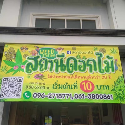 กัญชา สถานีดอกไม้ 100สายพันธุ์ จันทบุรี product image