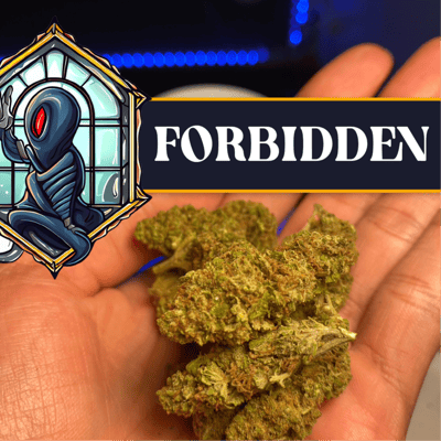 🔒😈 Forbidden 😈🔒