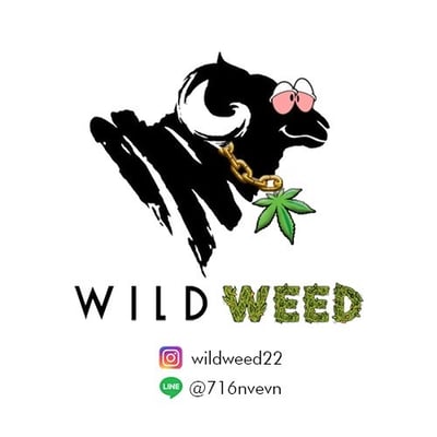 Wild weed