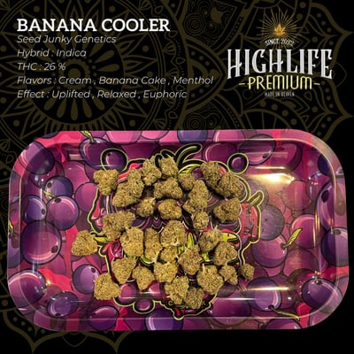 Highlife Premium product image