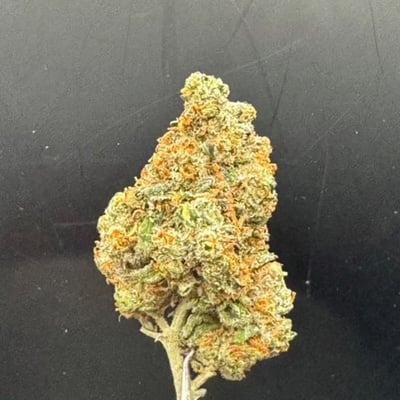 High Society Ko Phangan product image