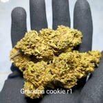 Grand pa cookie r1