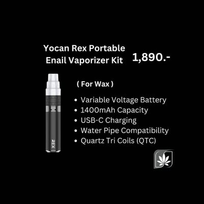Rex Portable Enail Vaporizer Kit