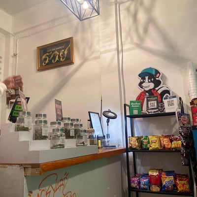 BACK YARD CANNABIS & COMMUNITY(ร้านขายกัญชาใกล้ฉัน) product image