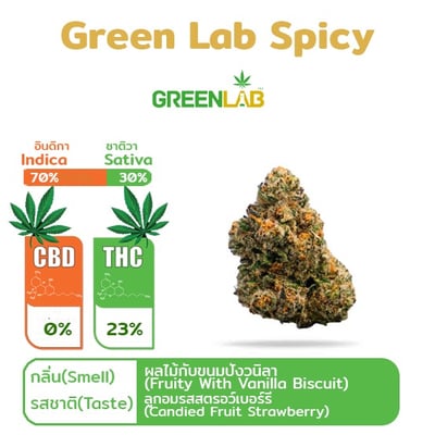Green Lab Spicy