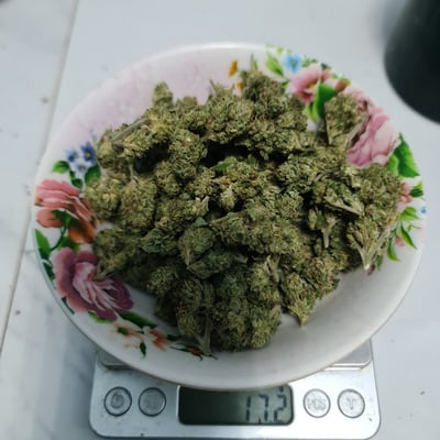 ร้านกัญชา มีกัญสระแก้ว cannabis shop product image