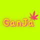 Cannabis Ganja Phuket