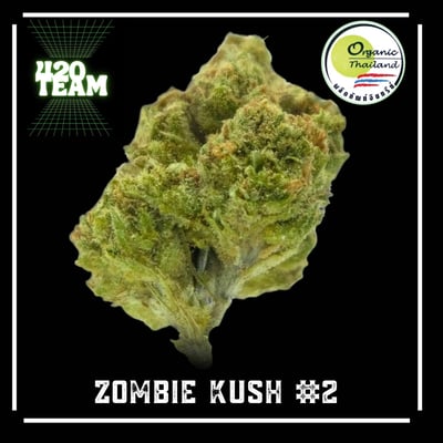 ZOMBIE KUSH #2 (Organic)