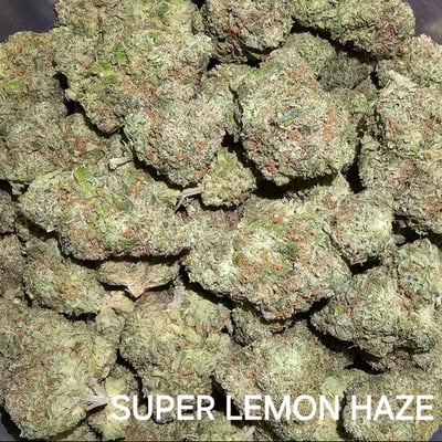 Super lemon haze