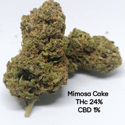 Mimosa cake 