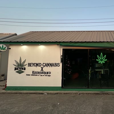 BEYOND CANNABIS X KISSNABRAND DISPENSARY