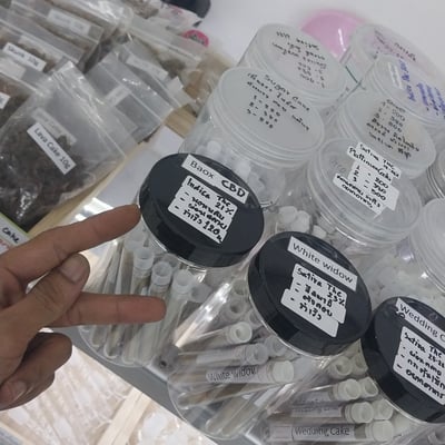 Weed Kingdom product image