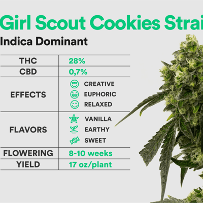 GIRL SCOUT COOKIES