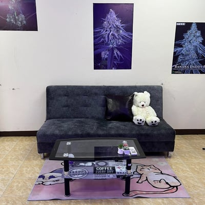 ร้านขายกัญชาBelieveinCannabis product image