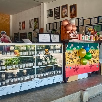 Cannabis Cafe (Art for All) product image