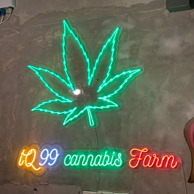 iQ99 CANNABIS FARM