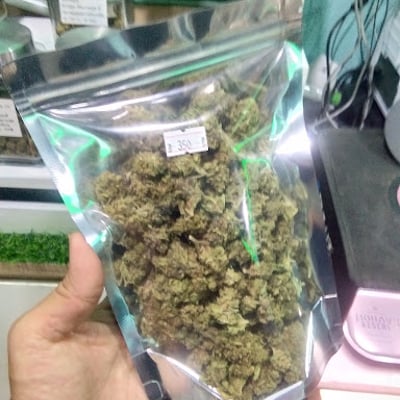GREEN HAVEN กรีนเฮเว่น (ร้านกัญชา) product image