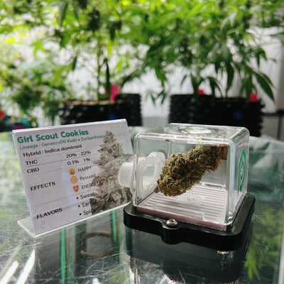 Girl Scout Cookies