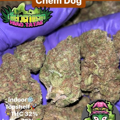 Chem Dog 🐶 