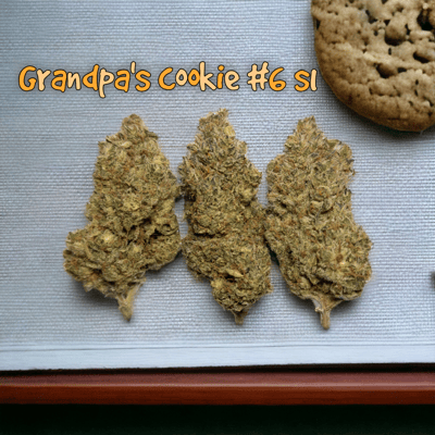 Grandpa's Cookie #6 s1