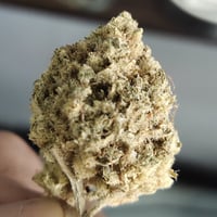 Apple Jelly Cannabis Flower at CANDYZ X TERMTEM in Phuket