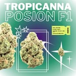 Tropicanna Posion F1