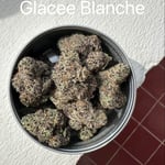 Glacee Blanche