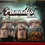 Paradis Buds Cannabis Shop