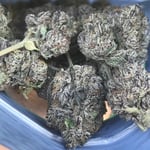 Lanna&Cannabis