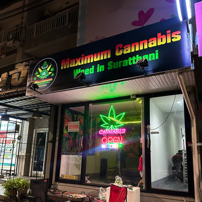 Maximum Cannabis Shop Weed In Suratthani product image