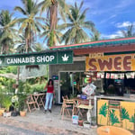 Chill Nation Weed and Cannabis Shop