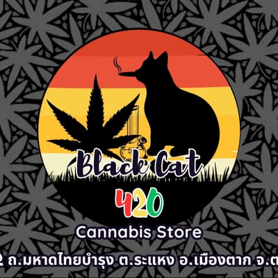 Black Cat 420 Cannabis Store