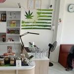 TREES Cannabis ทรีแคนนาบิส(1stWEED shop@ChumphonBuri)ร้านแรกในชุมพลบุรี