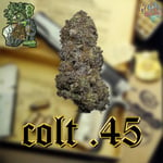 Colt45