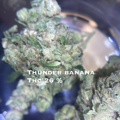 Thunder banana 