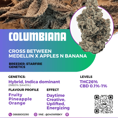 Columbiana (starfire genetics)