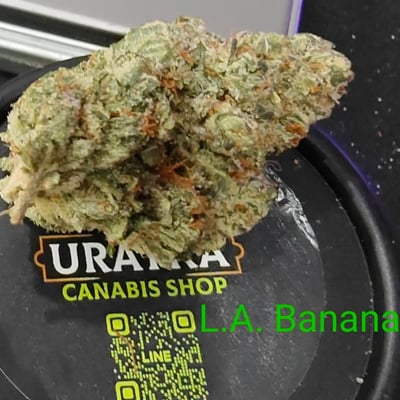 L.A.Banana 