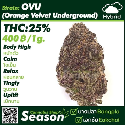 Season Cannabis Shop @เอกชัย product image