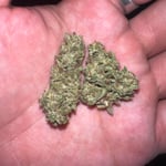 HuaySatorn Cannabis SHOP