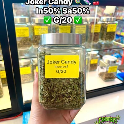 น้องแป๋ม Cannabis420 Shop x ร้านกัญชาสกลนคร product image