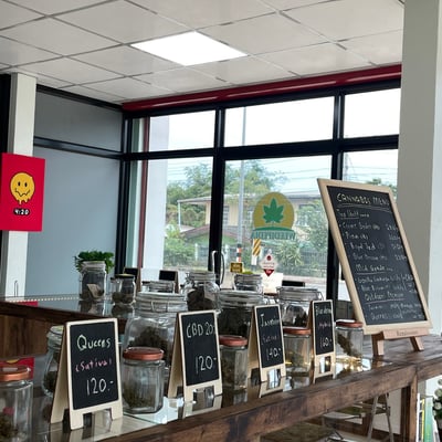 WEEDIPEDIA.TH ร้านกัญ product image