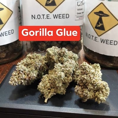GG4 (Gorilla Glue Original)