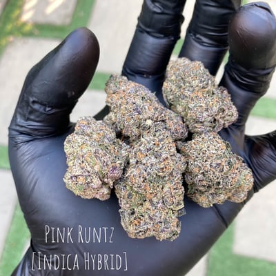 PINK RUNTZ [INDICA HYBRID]