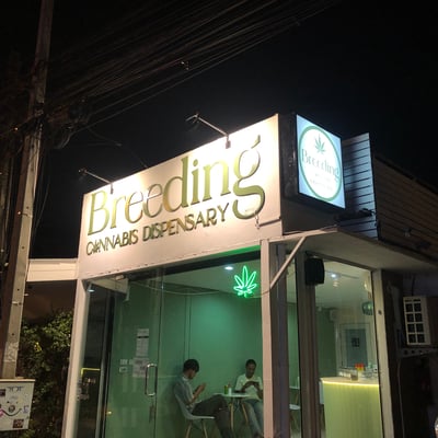 Breeding Cannabis Dispensary